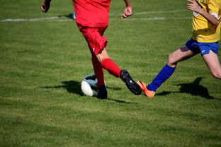 乐鱼体育在线登陆-“拳王争霸：四川省体育馆拳击赛将诞生新的世界拳王”